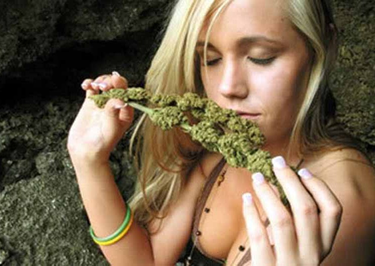 Weed Vaporizers